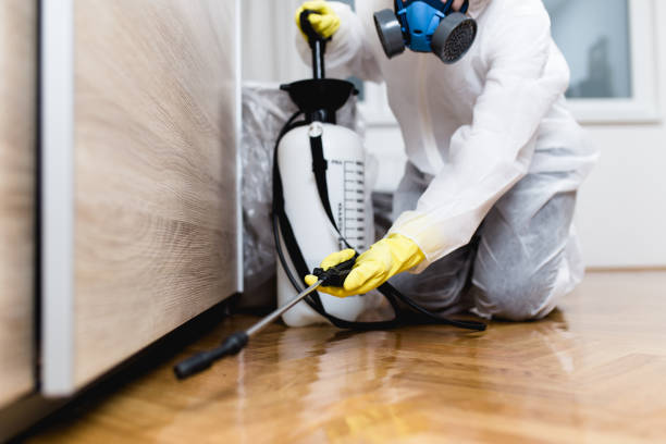 Professional Pest Control in Pryor Creek, OK