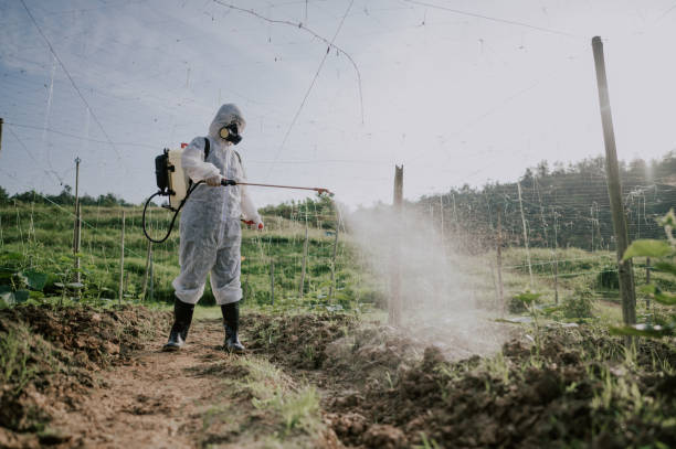 Best Pest Control for Homes  in Pryor Creek, OK