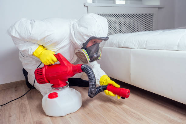 Best Cockroach Control Services  in Pryor Creek, OK