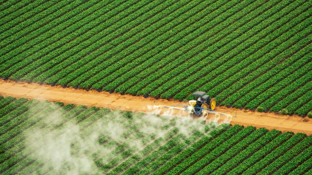 Best Pest Prevention Services  in Pryor Creek, OK