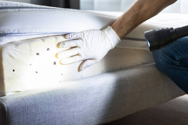Best Pest Control for Restaurants  in Pryor Creek, OK